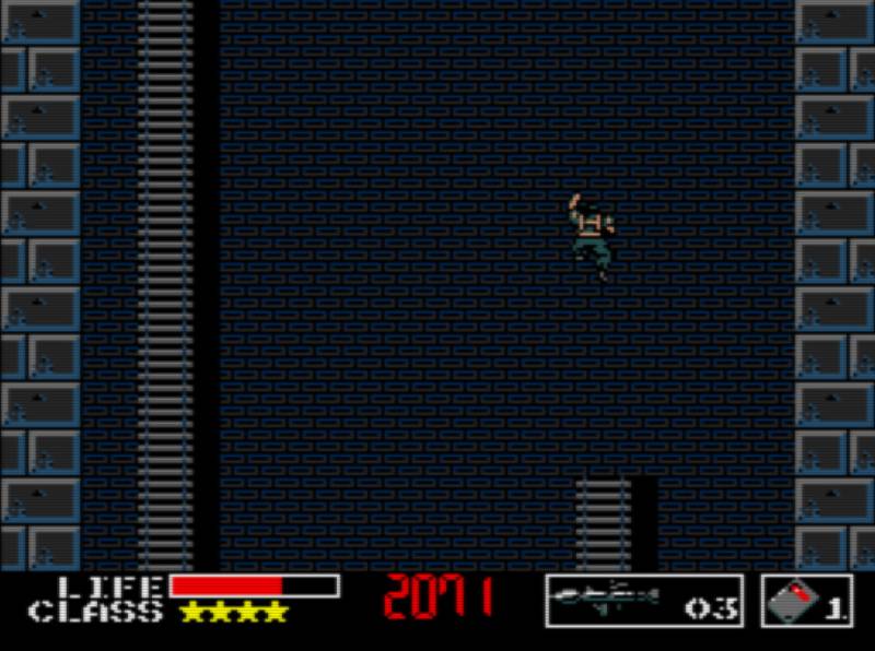 spider-snake.jpg spider-snake.jpg